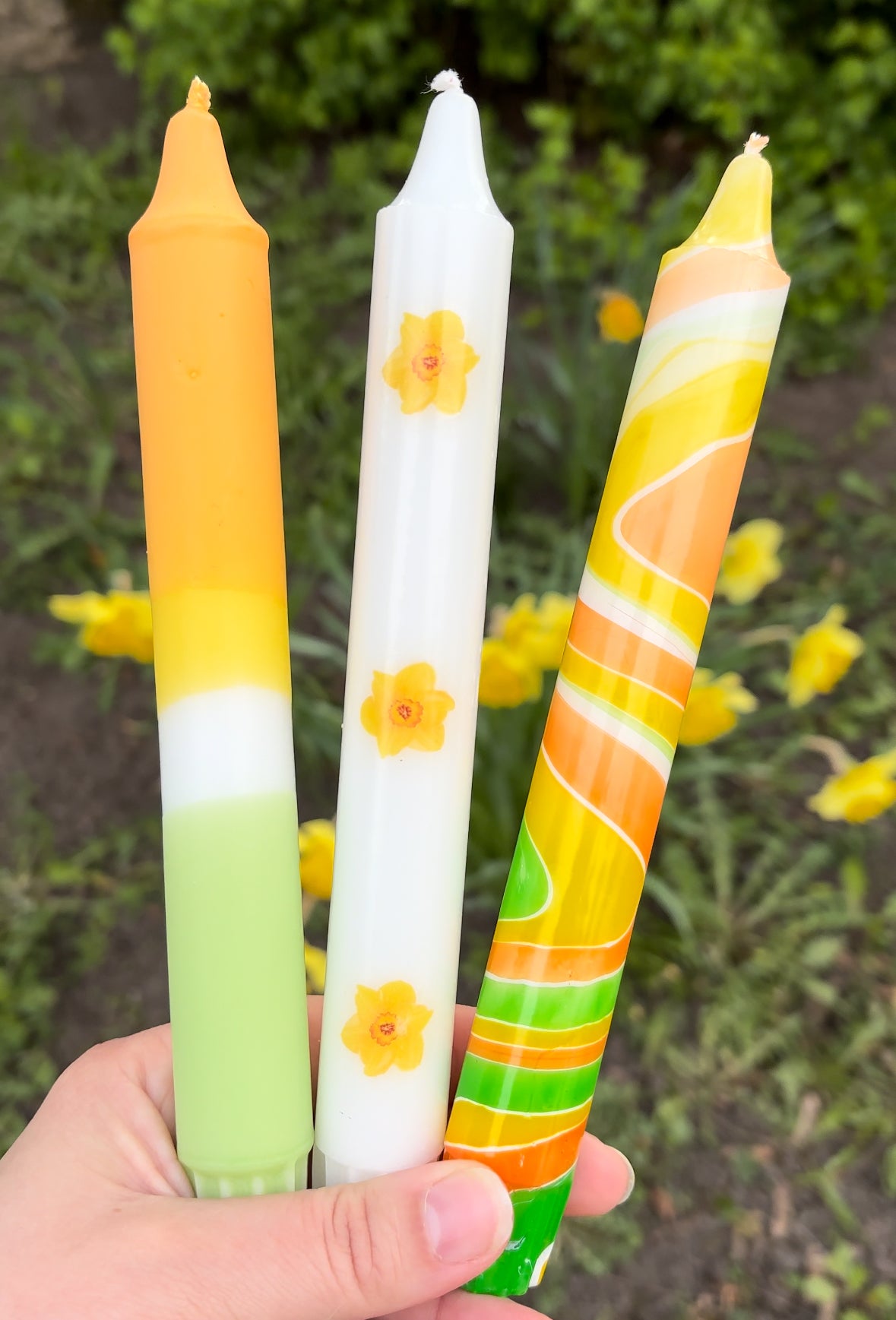 DAFFODIL DREAM CANDLE 3-PACK